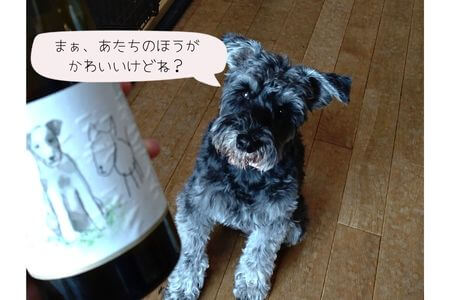 ワインの通販『オンラインワッシーズ』の看板犬