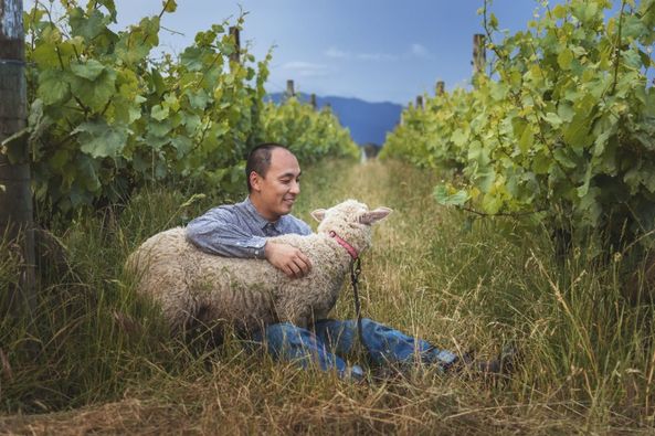 有機農業認定機関Biogroの認定を取得し、自然と調和したワイン造りに取り組む『フォリウム』