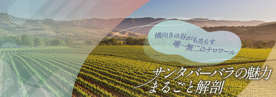 カリフォルニアワインの産地特集ページ　サンタバーバラ