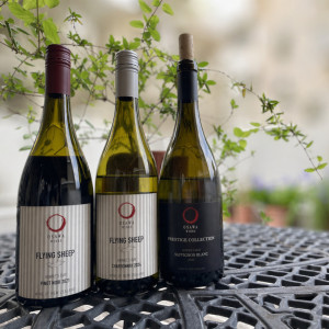 テラスでゆるっと試飲。今日はニュージーランドの大沢ワインズです