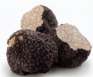 101109-tech-black truffle.grid-6x2